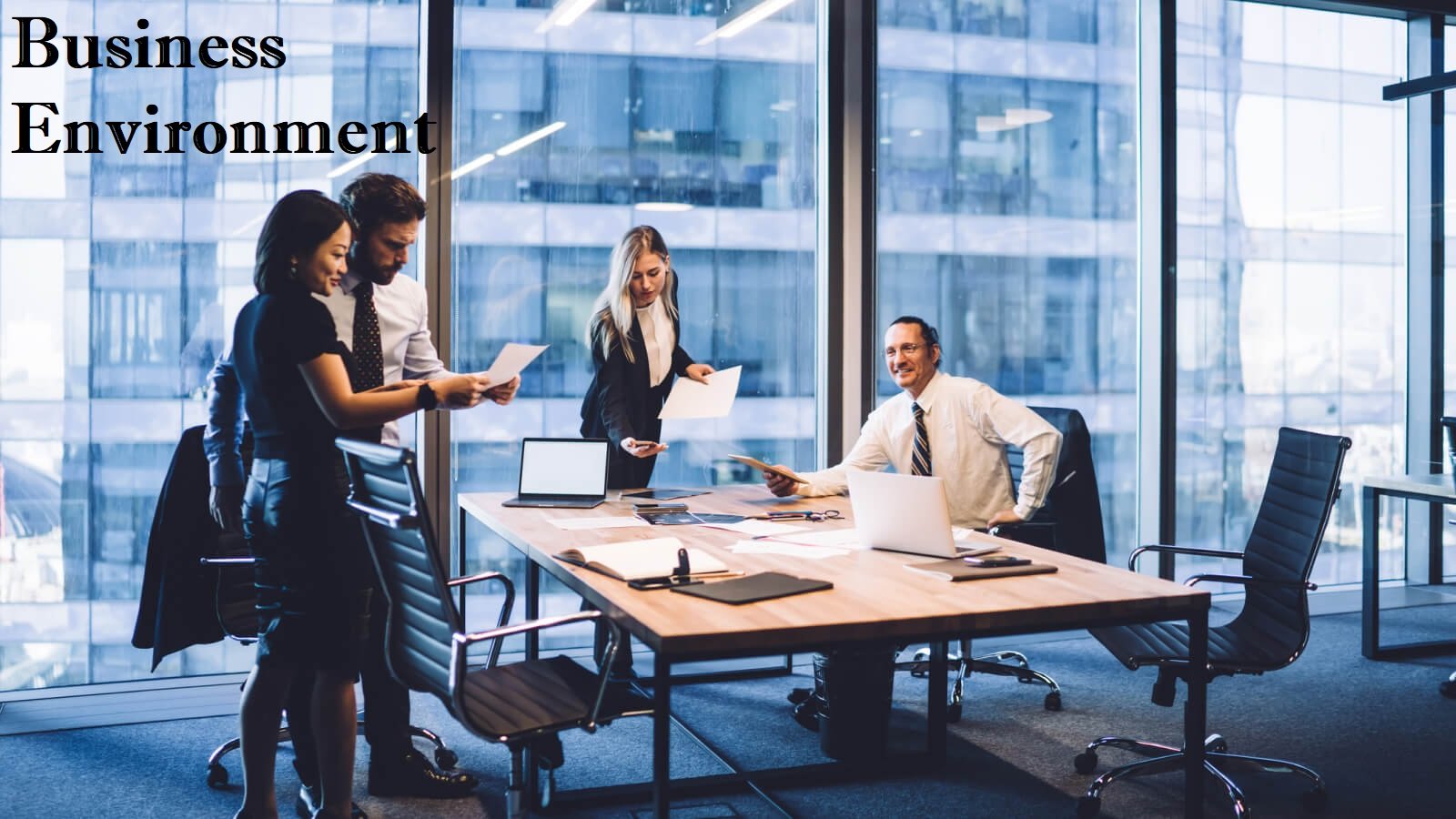 Business Environment